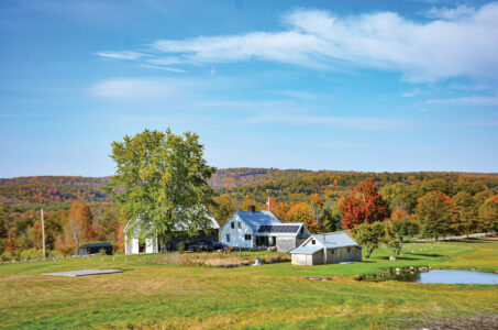 Farm Sitter Wanted Image